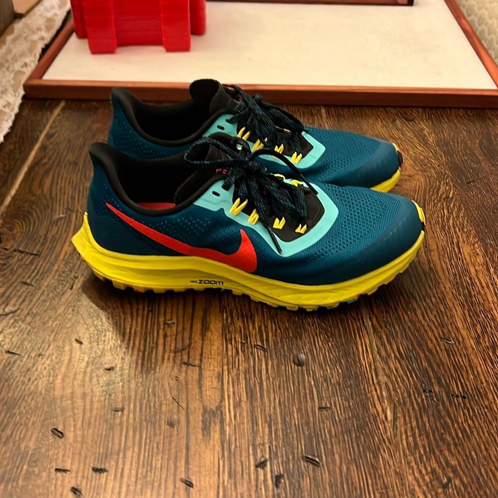 Nike Pegasus